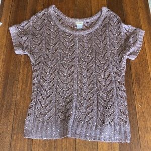 Daytrip Sheer sparkly light weight sweater